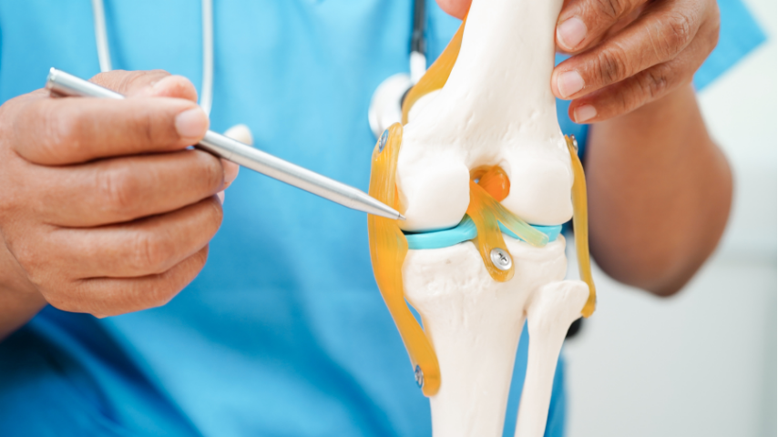 robotic knee replacement